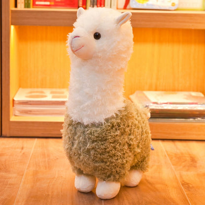 Fuzzypaca